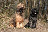 BRIARD 014